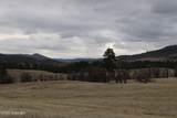 Tract 10 Lone Elk Ranch - Photo 22