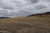 Tract 10 Lone Elk Ranch - Photo 25