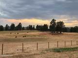 17 Ponderosa View Dr - Photo 76
