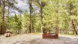 11 Fox Dr - Photo 26