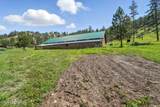 185 Plum Creek Rd - Photo 1