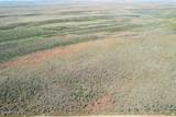 0000 Cowboy Way - Photo 14