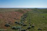 0000 Cowboy Way - Photo 23