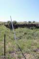 0000 Cowboy Way - Photo 47