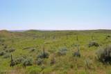 0000 Cowboy Way - Photo 49