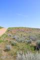 0000 Cowboy Way - Photo 52