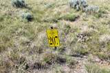 0000 Cowboy Way - Photo 55