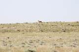 0000 Cowboy Way - Photo 56