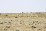 0000 Cowboy Way - Photo 57