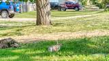 7631 Rimrock Dr - Photo 13