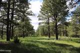 356 Remington Rd - Photo 18