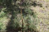 356 Remington Rd - Photo 19