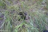 356 Remington Rd - Photo 9