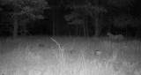 0000 Remington Road - Photo 22