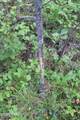 0000 Remington Road - Photo 9