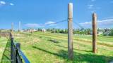 4201 Chancery Ln - Photo 91