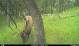 567 Dry Creek Rd - Photo 29