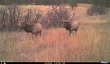 567 Dry Creek Rd - Photo 30
