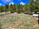 183 & 101 Crooked Pine Trail - Photo 26