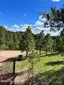 183 & 101 Crooked Pine Trail - Photo 49