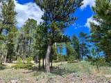 183 & 101 Crooked Pine Trail - Photo 50