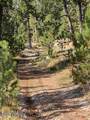 183 & 101 Crooked Pine Trail - Photo 70