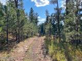183 & 101 Crooked Pine Trail - Photo 74