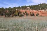 Lot 29 Red Devil Drive - Photo 4