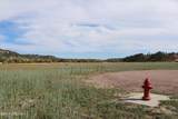 Lot 29 Red Devil Drive - Photo 9