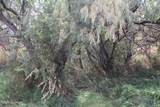 Lot 5 Sage Road - Photo 3