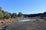 54 Juniper Hills Rd - Photo 10