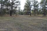 Tract A-3 Broad Axe Rd - Photo 10