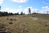 Tract A-8 Broad Axe Rd - Photo 9