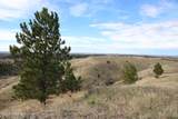 Tract B-4 Broad Axe Rd - Photo 18