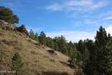 Tract B-5 Broad Axe Rd - Photo 17