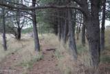 Tract B-6 Broad Axe Rd - Photo 24