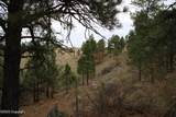Tract B-6 Broad Axe Rd - Photo 8