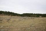 Tract B-10 Broad Axe Rd - Photo 16