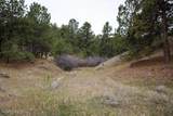 Tract B-10 Broad Axe Rd - Photo 22