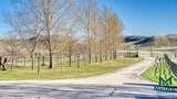 62 Alpine Dr - Photo 4