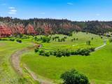 Tract 2 Belle River Ranch - Photo 10