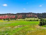 Tract 2 Belle River Ranch - Photo 13
