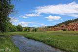 Tract 2 Belle River Ranch - Photo 15