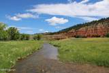 Tract 2 Belle River Ranch - Photo 16