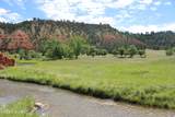 Tract 2 Belle River Ranch - Photo 20