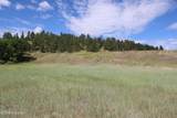 Tract 2 Belle River Ranch - Photo 21