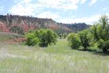 Tract 2 Belle River Ranch - Photo 23