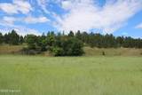 Tract 2 Belle River Ranch - Photo 24