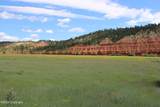 Tract 2 Belle River Ranch - Photo 27