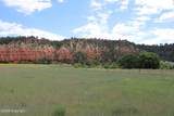 Tract 2 Belle River Ranch - Photo 28